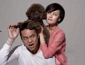 娱乐圈出轨的人,揭秘明星私生活背后的真相