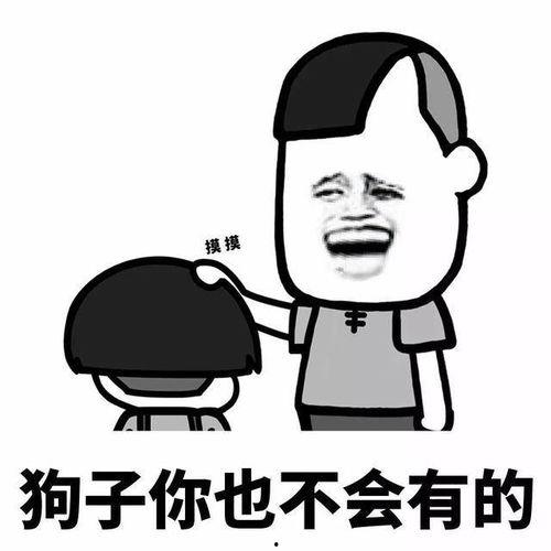 坚持不懈的表情包,致敬那些永不放弃的表情包